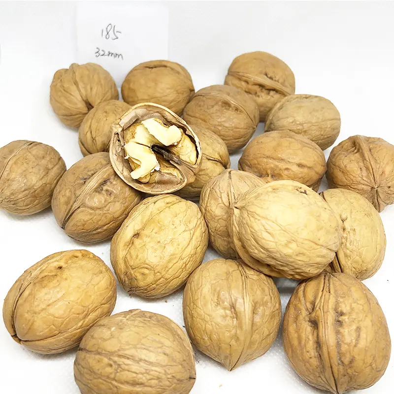 China delicious walnut Healthy good Prices Organic For Sale