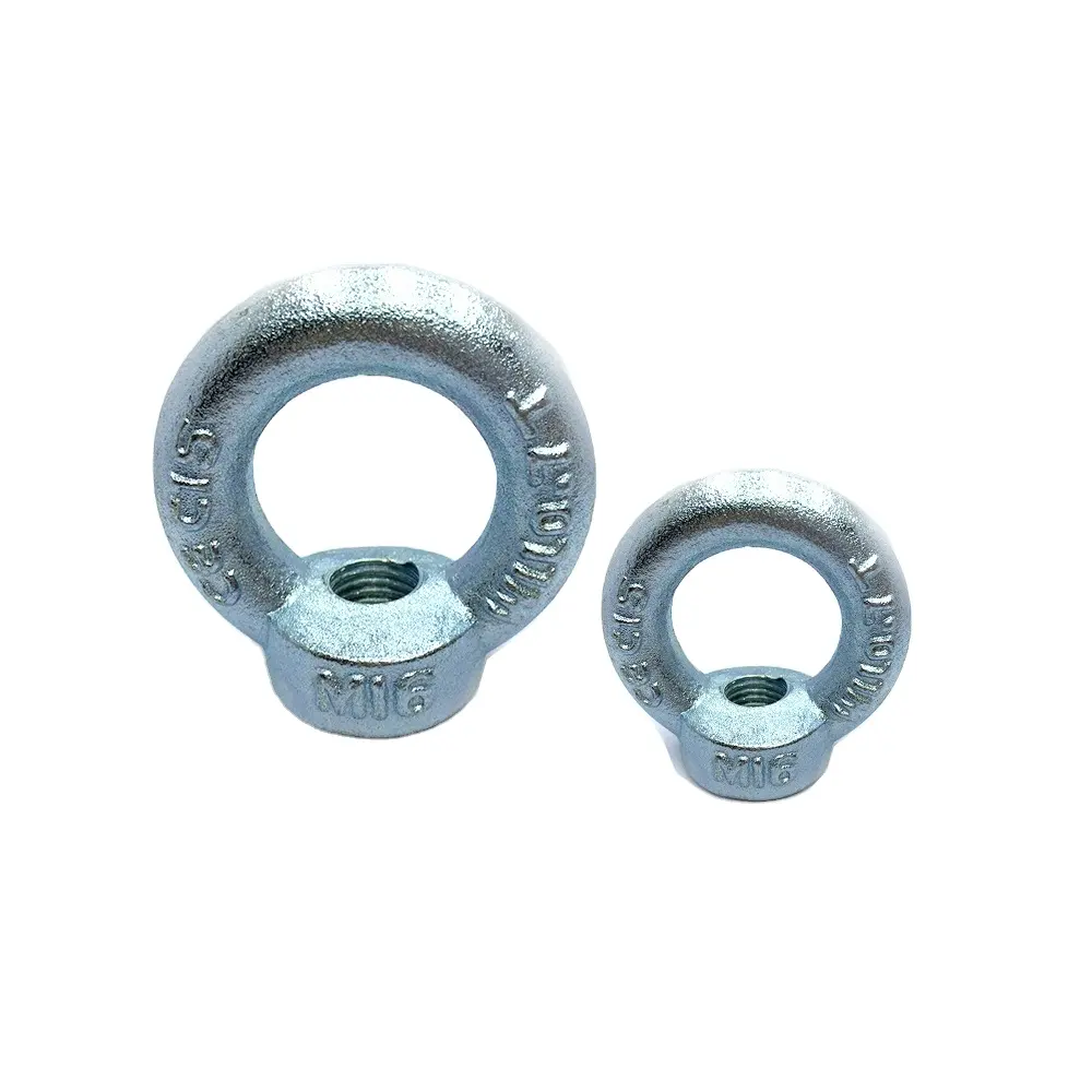 High Quality Lifting Ring Rigging Hardware Stainless Steel DIN582 Eye Nut