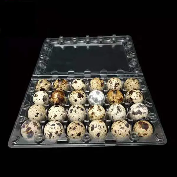 low price 12 24 30 cells clear plastic quail egg tray for selling