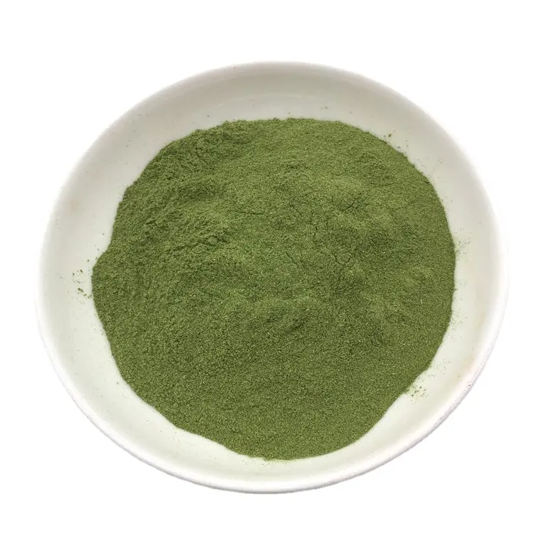 Premium quality dehydrated spinach powder