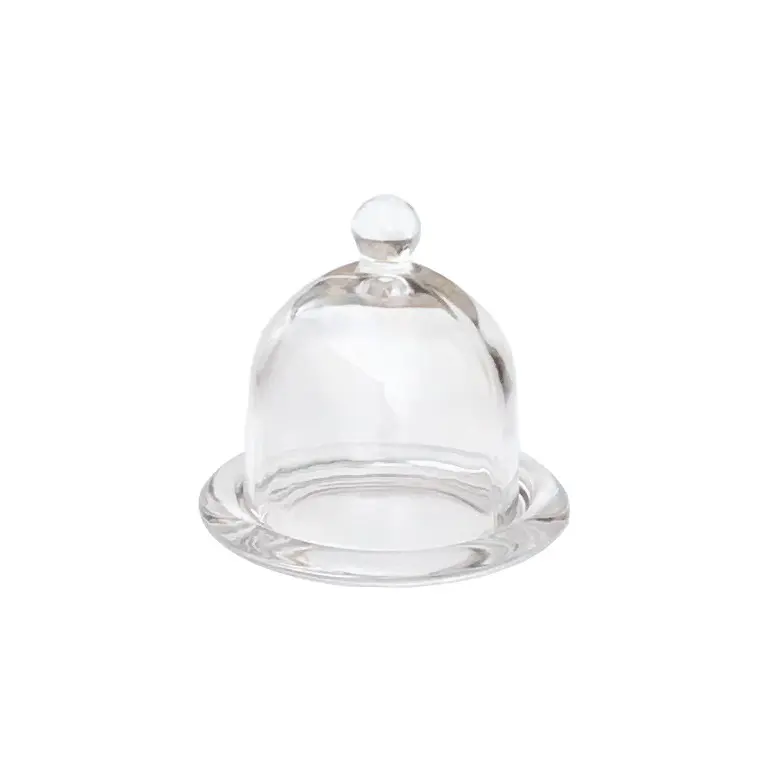 mini dome glass with glass dome cover for food