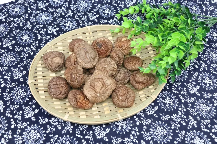 Shitake Fungus Formation Snack Food Vacuum Dried Shiitake Mushroom