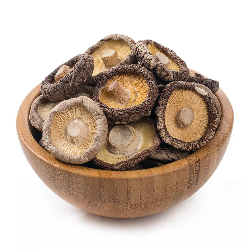 High quality organic healthy dried mushrooms wholesale price