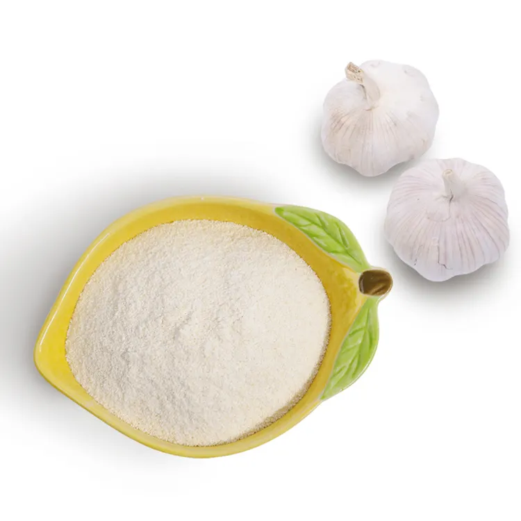 Hot Sale Cheap Price High Quality Garlic Extract allicin factory supply garlic A2000 powder