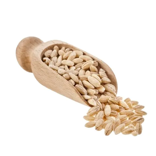Organic barley grain in bulk