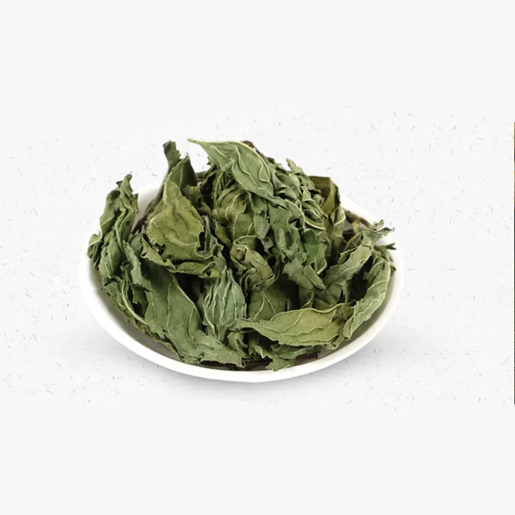 Chinese Herba Mint Bo He China Supplier Dried Mint Leaves Peppermint Menthae Haplocalycis Leaf as herbal tea