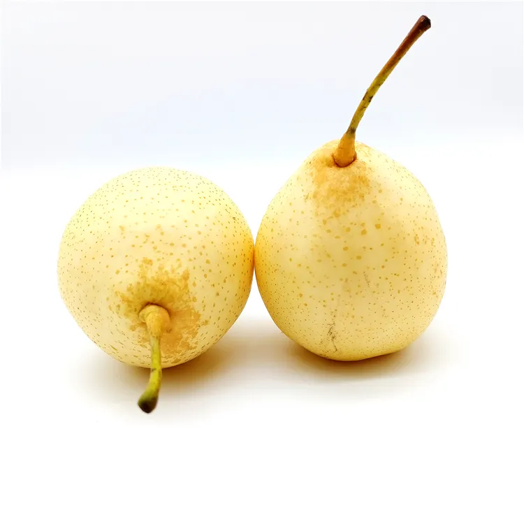 Golden Style Pear Organic Origin Type Variety Product Fresh Fruit Place Cultivation GANSU Pome