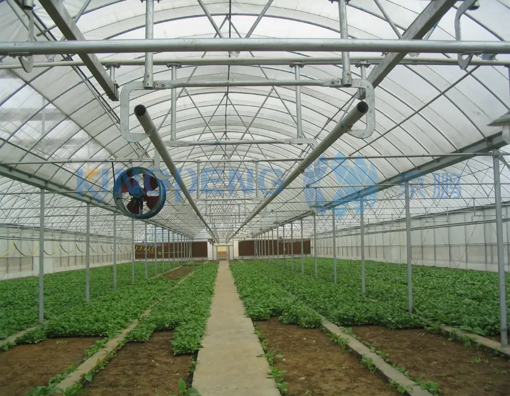 Greenhouse Producers Plastic Film Greenhouse