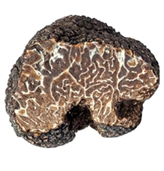 2019 Crop Frozen Tuber Indicum Chinese Frozen Truffle