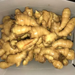 China export natural organic market price for ginger