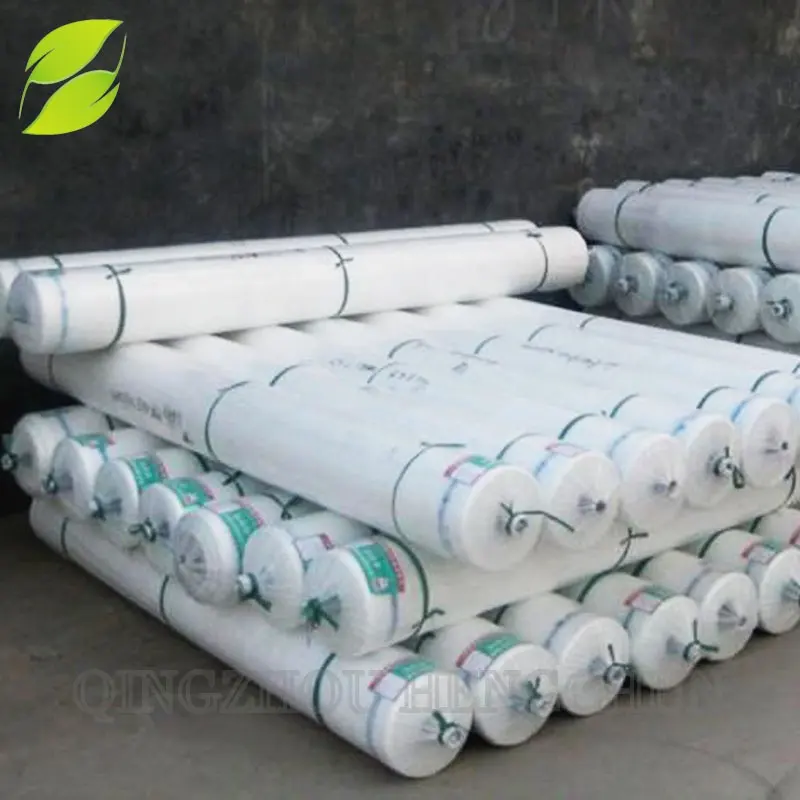 Agriculture film on rolls/plastic film roll for agriculture/pe agriculture perforated plastic mulch film