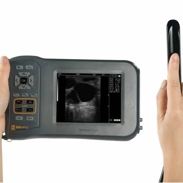 L60 ultrasound for fram use Veterinary ultrasound Pregnancy test ultrasound scanner