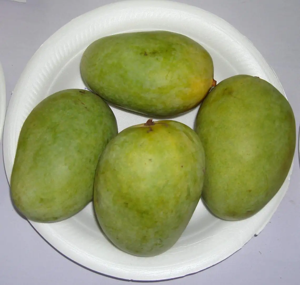 LANGRA Mangoes