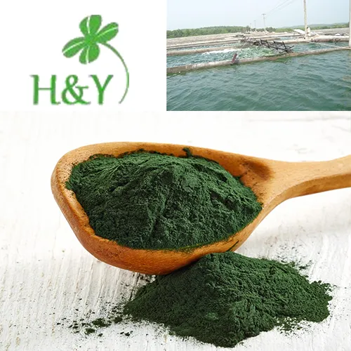 100% natural green algae powder spirulina powder