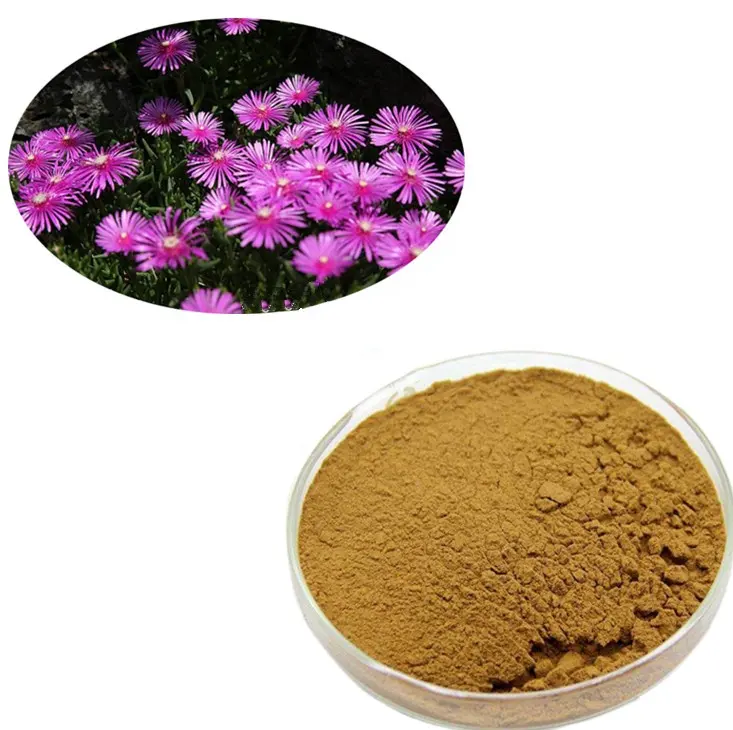 High Quality 98% Dhm Dihydromyricetin Powder