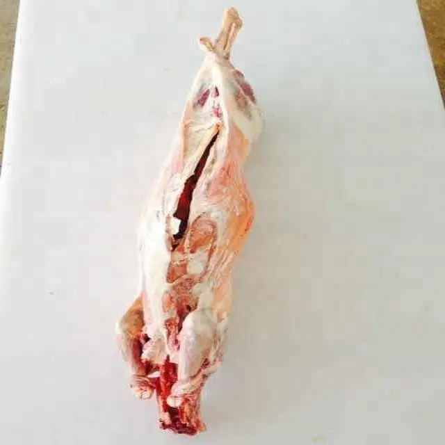 Goat carcass