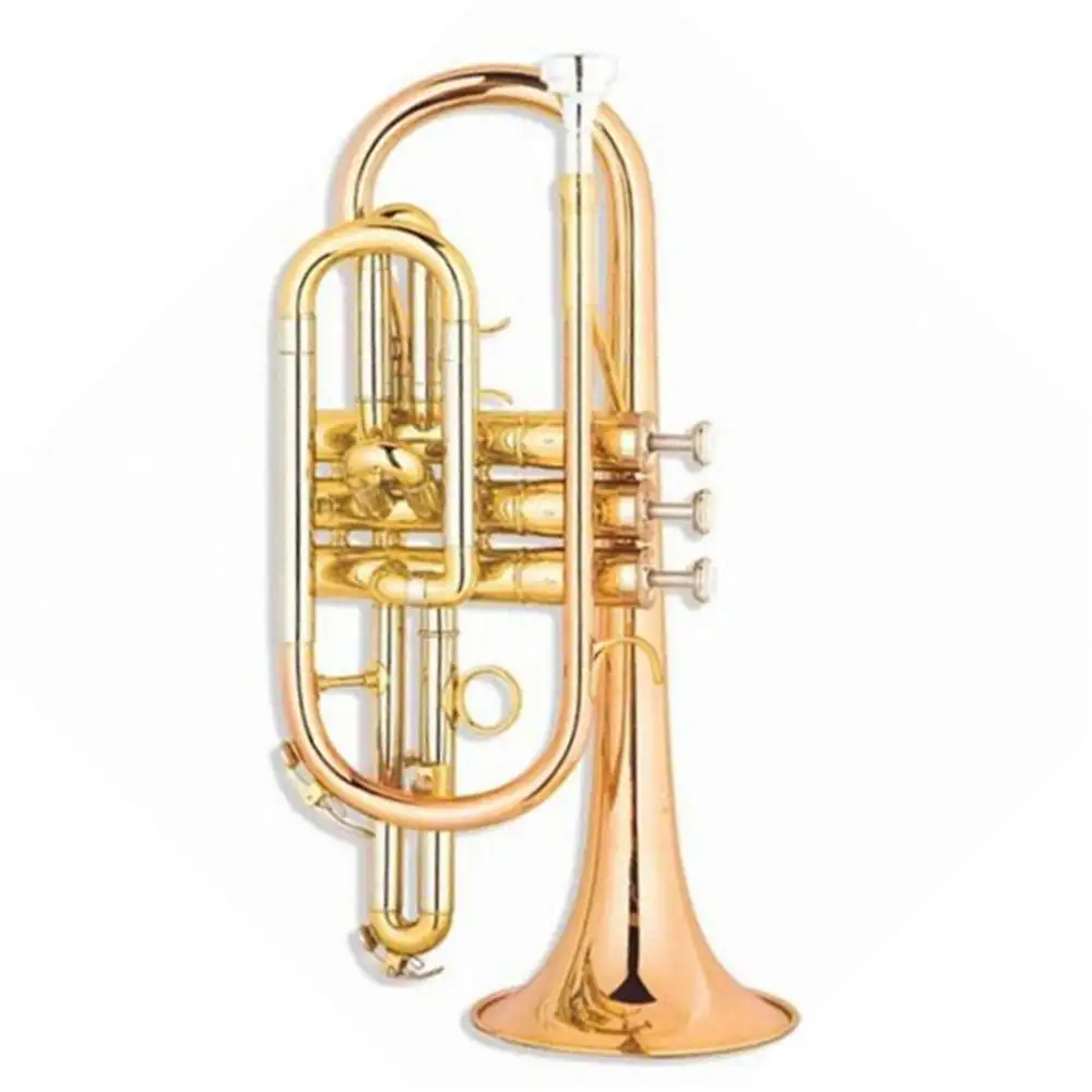 Professional Cornet for Sale