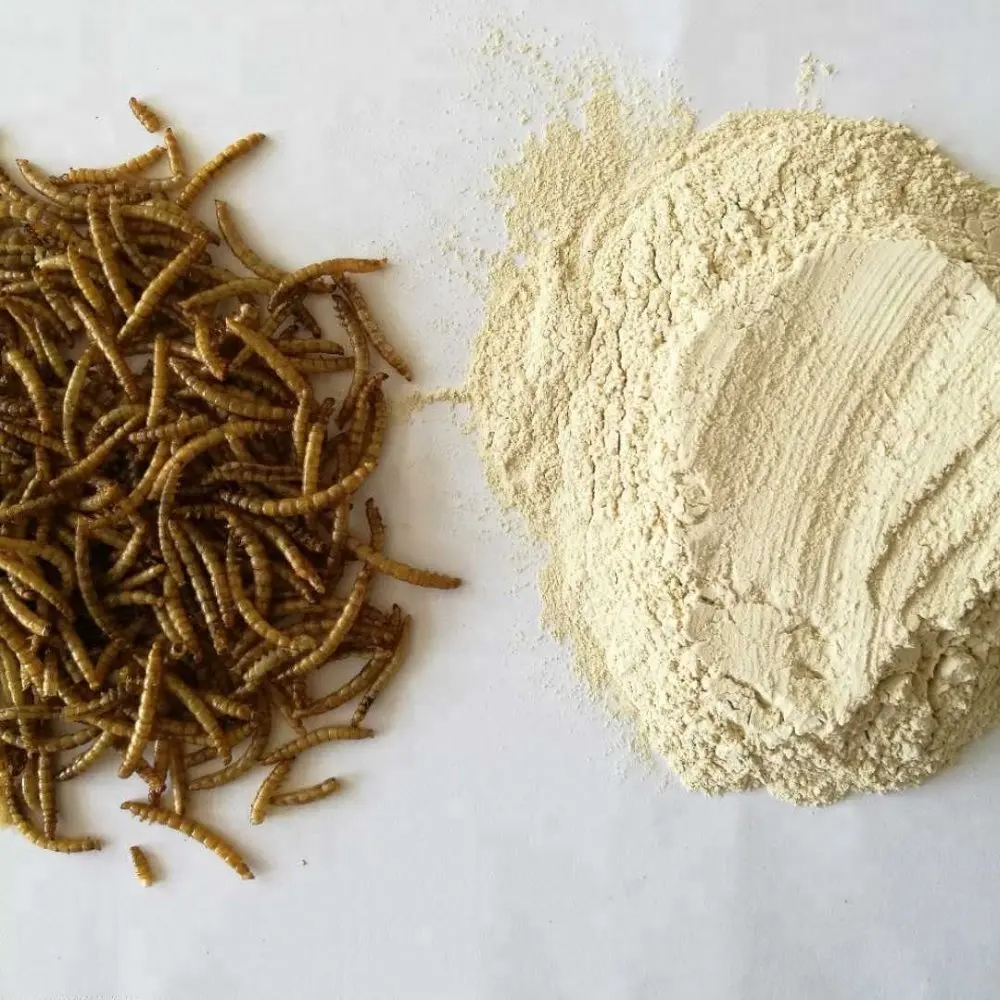 Fish Meal Fish Meal Made From High Protein Tenebrio Insect Protein Insect Powder Insect Flour