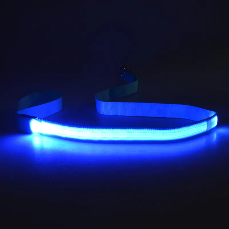 Night Safety Light Up Flashing LED Pet Dog Leash