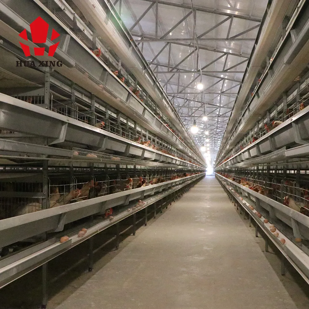 Цена по прейскуранту завода оборудование для животноводства птицекормление цыпленок клетка система для продажи