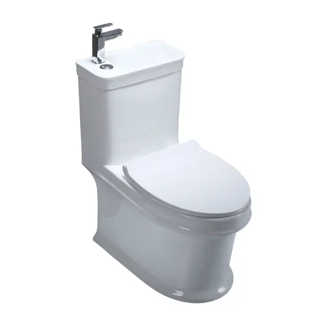 Singapore water closet with basin combined #8699