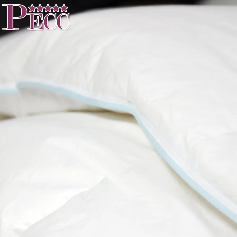 China Supplier Hotel 100% Cotton Filled Goose Down Comforter