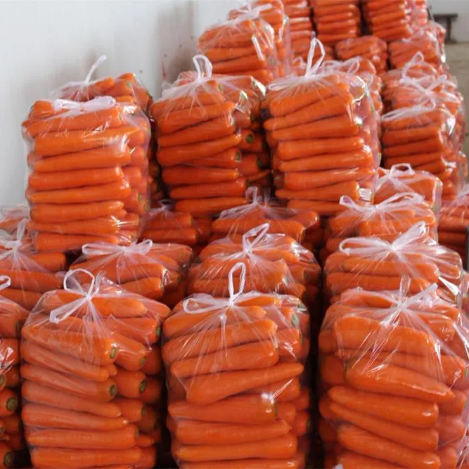 Китайская Морковка