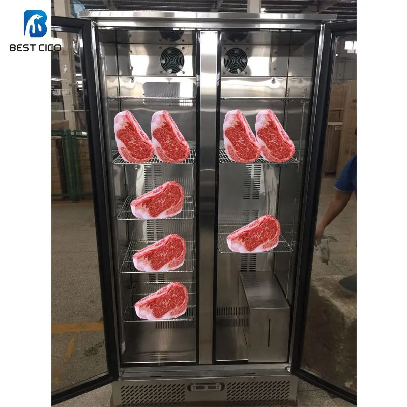 Hot Selling Dry Aged Beef Machine Drying Aged Fridge DA-458FS