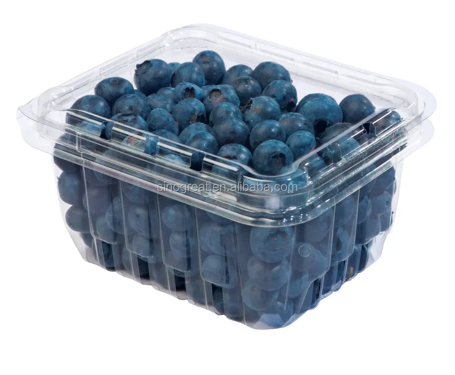 PET material disposable plastic food container strawberry punnet
