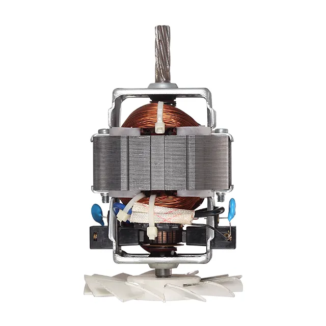 7025 CE blender ac motor