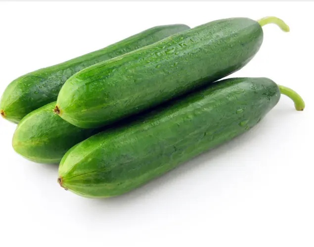 Cucumber Vegetable Seeds Organic Vitamin Herbs Cucumber for Salad