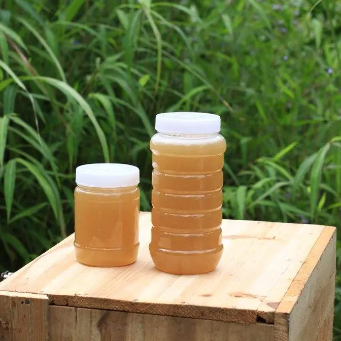 2020 Factory supply fresh bee products comb natural honey