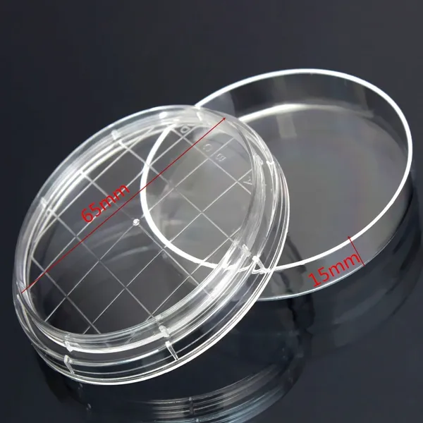 disposable clear plastic petri dish bacterial culture dish plate 65X15MM