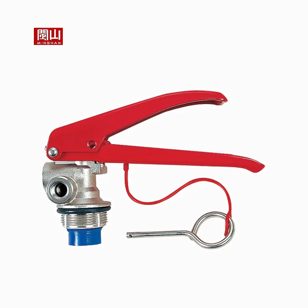 Fire Extinguisher Valve Dry Powder and CO2 Fire Extinguisher CE Valve and Guage Brass,stainless Steel (1/8"BSPT Schrader Valve