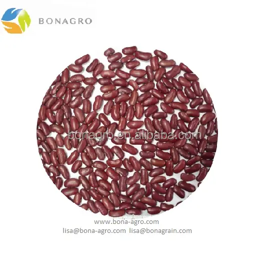 dark red kidney bean