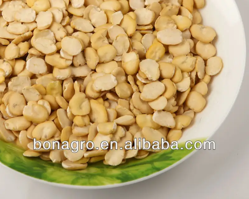 Dried Split faba bean