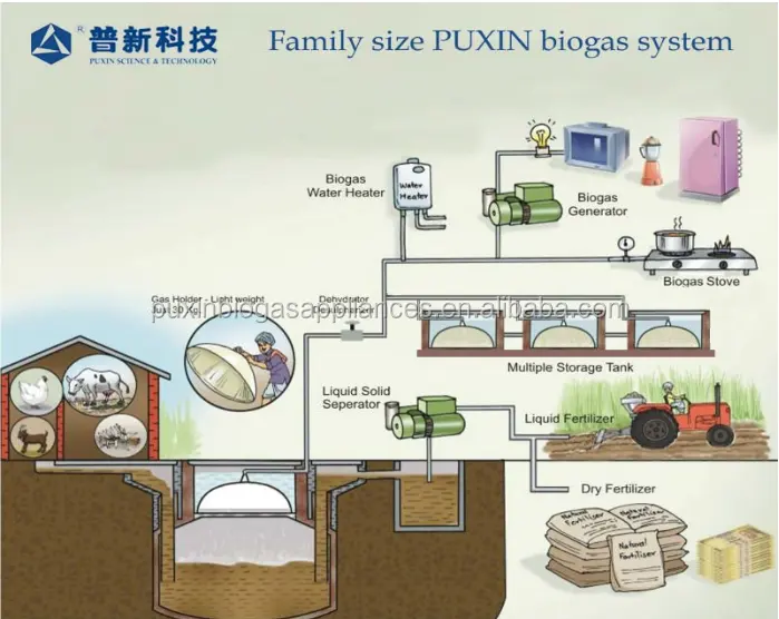 Биогазовая растительная анимация Puxin 10 м3, Китай