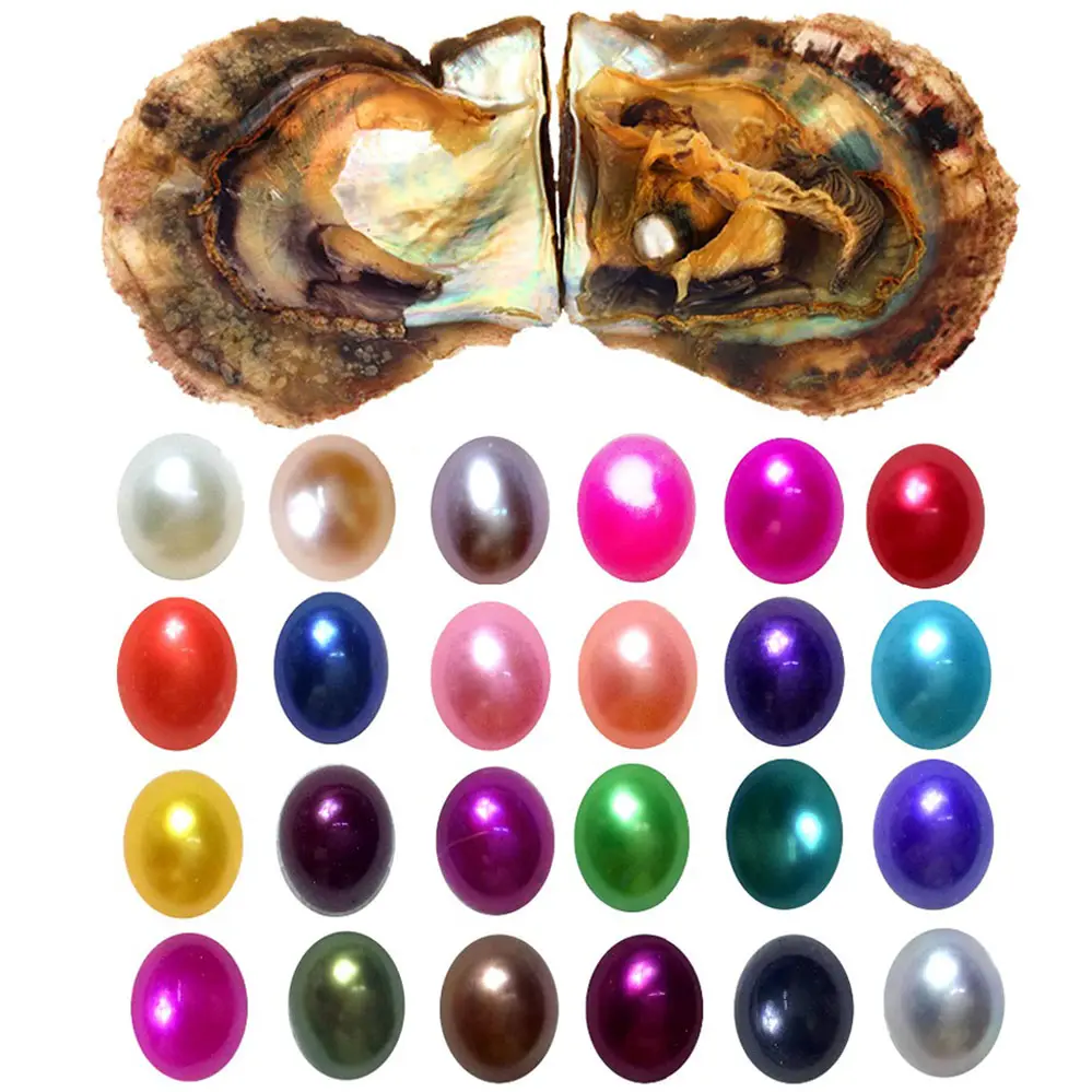 Multi color akoya pearl oyster with round pearl inside