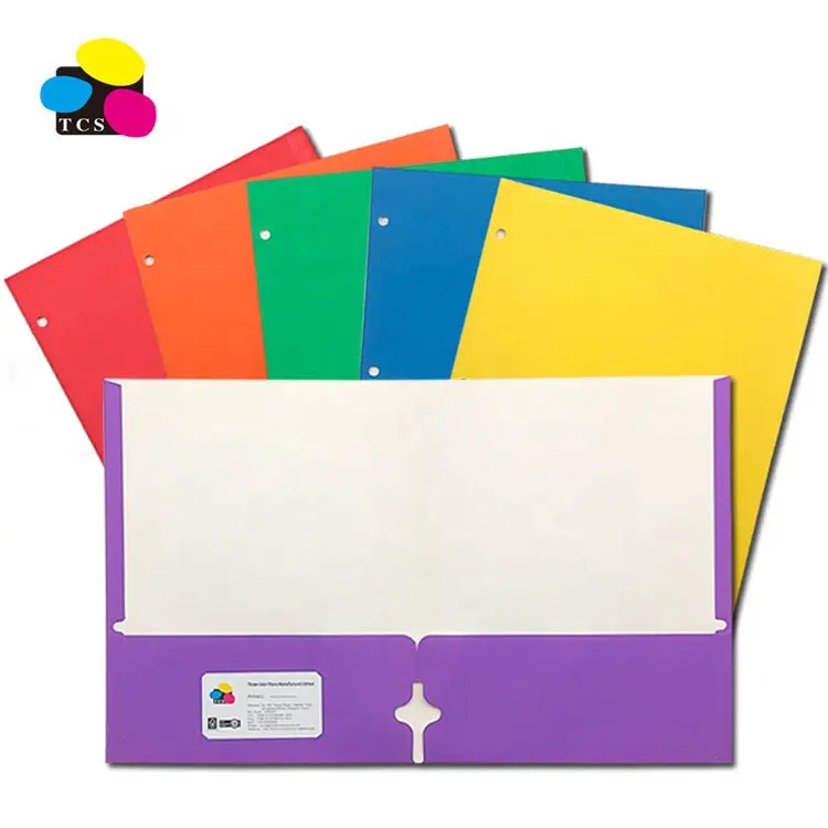 High Quality Cheap ECO-Friendly Lehui100pcs/PDQ Letter Size Assorted Color Two Pockets Paper File Folder