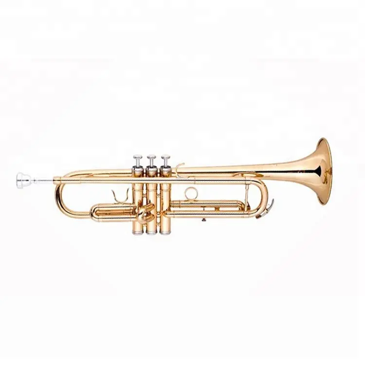 Латунный корпус Bb стандартная профессиональная труба