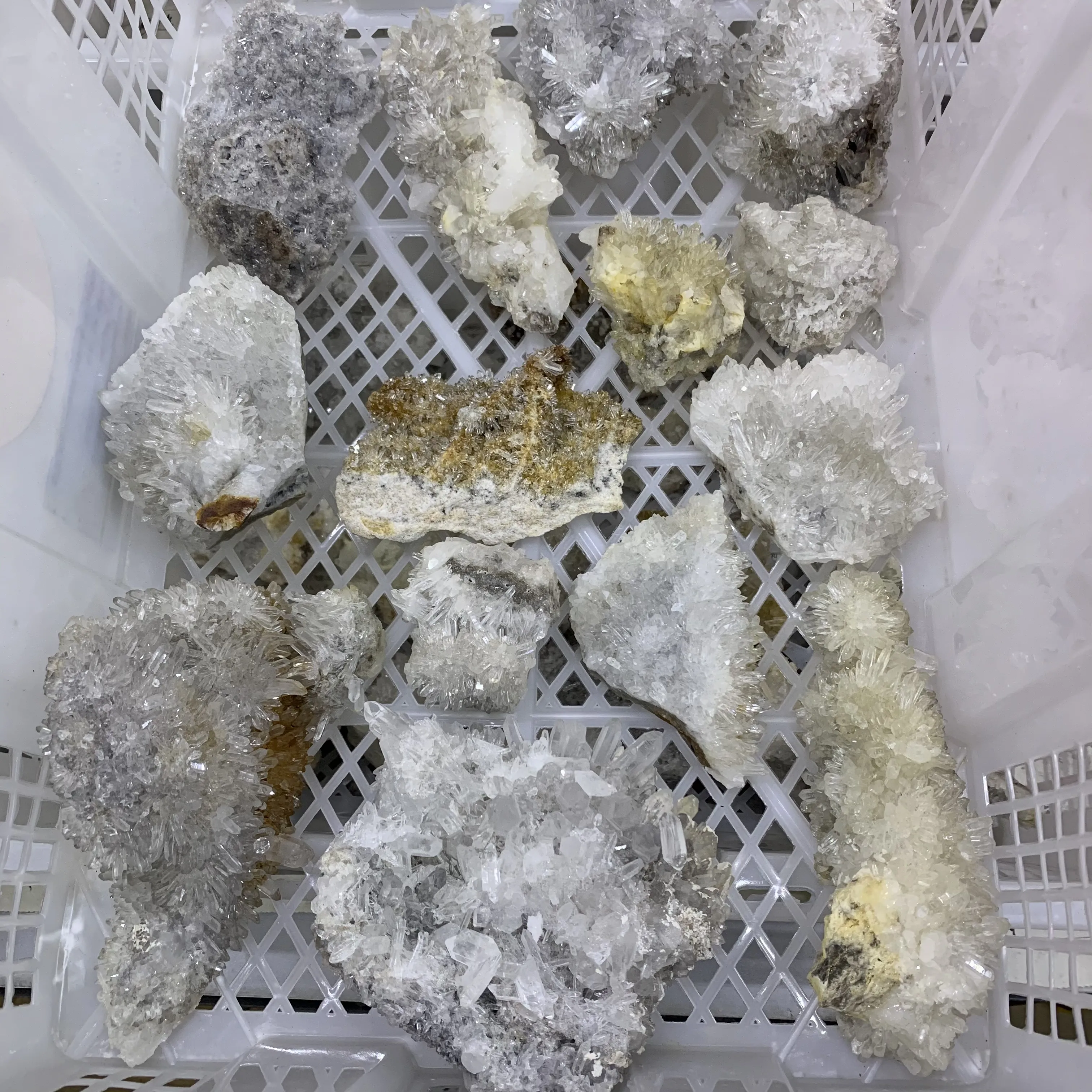Natural white crystal cluster chrysanthemum crystal clear quartz clusters Mineral specimens
