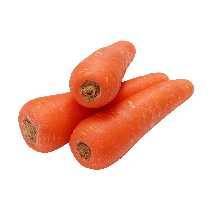 Wholesale Box Style Storage Packaging Vegetables Carrots Carrot Vegetable Carrots Vegetable Price List