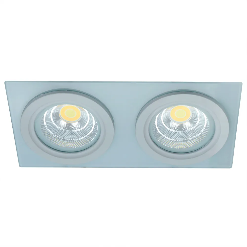 Square Rectangle Recessed Tunable White Silver Double Twin Two Head Grille Cob Led Downlight