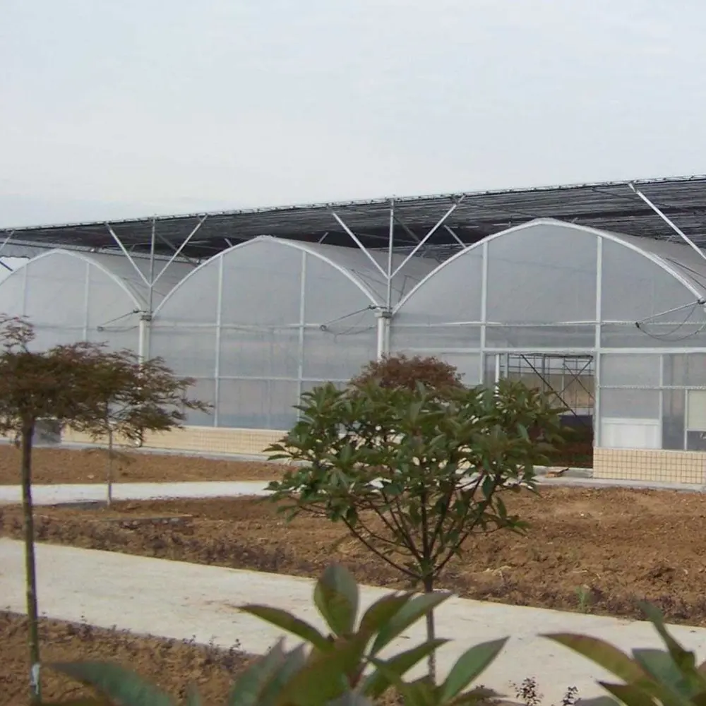 Modern Wholesale Invernadero Agricultural multi-span plastic film greenhouse for sale