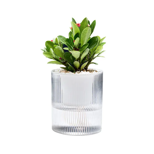 Best Seller Hydroponic Plant Flower Pot Simple Tabletop Flower Pot for Indoor and Outdoor