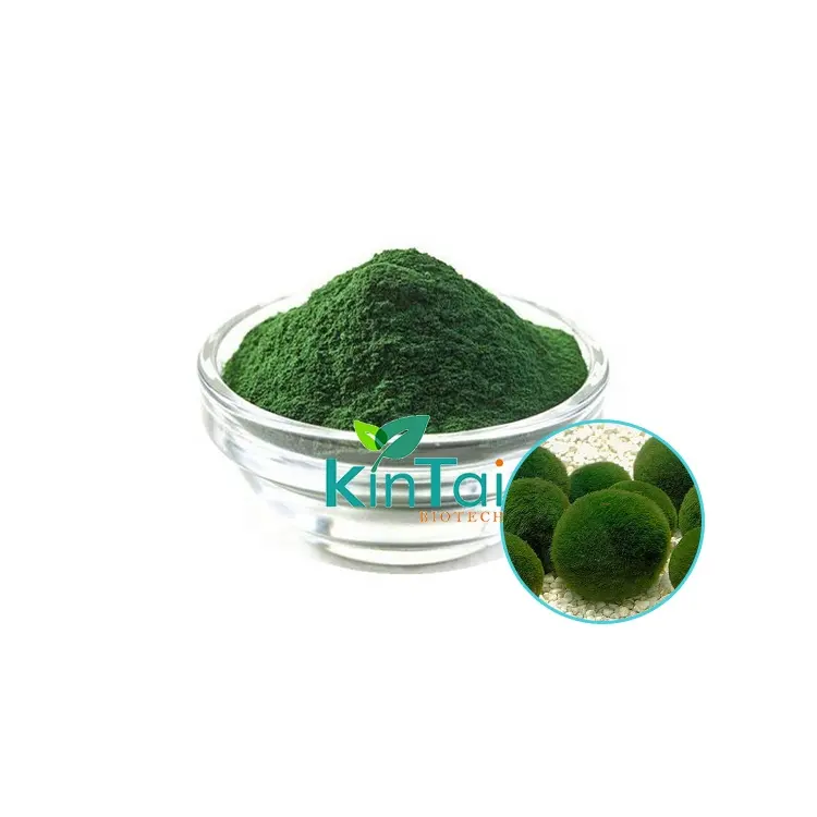 Оптовая цена экстракт хлореллы Порошок супер зеленый порошок хлорелла порошок