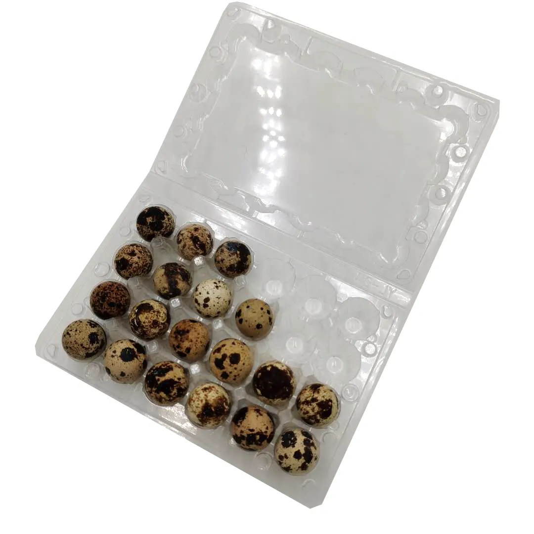 factory supply 24 cells hot sale clear PVC PET quail egg carton plastic quail egg tray for selling