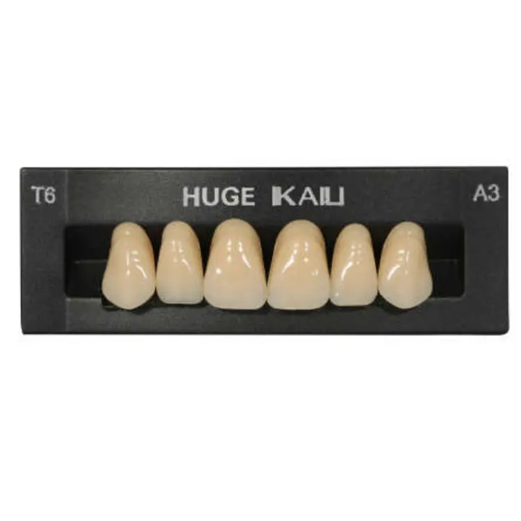 Huge Acrylic Teeth Set for Dental Labs