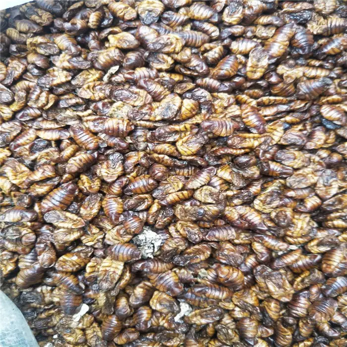 Cheap Price Feed Grade Dried Silkworm Pupae