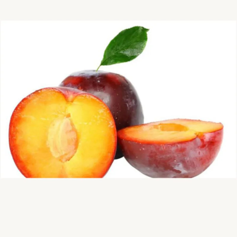 The farm specializes in the wholesale production of non-toxic fresh plums